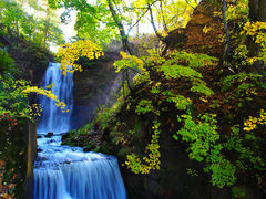 �����̑�̎ʐ^1