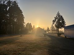 campfield MARC WEST�̎ʐ^1