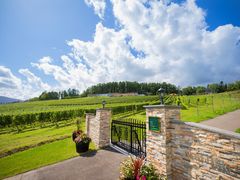 NIKI Hills Winery�̎ʐ^1