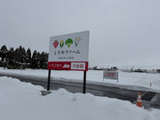 �~�Y�L�t�@�[����䉏�̎ʐ^3