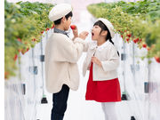 �~�Y�L�t�@�[����䉏�̎ʐ^2