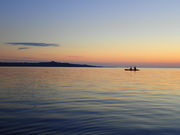 COORPAROOyN[p[z̎ʐ^2