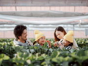 �Ƃ悭�ɂӂ��[�ފό��_���̎ʐ^2