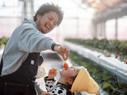 �Ƃ悭�ɂӂ��[�ފό��_���̎ʐ^4