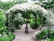 ���ȍ��� �o���N�� �C���O���b�V�� �K�[�f���̎ʐ^2