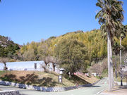 �}���b�T�x���[�t�@�[���̎ʐ^3