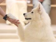 TGhJtFmoffuS֋̎ʐ^3