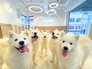 TGhJtFmoffuS֋̎ʐ^4