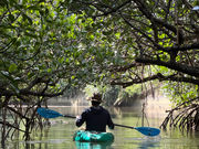 OsO][gStarOcean̎ʐ^2