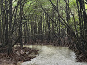 OsO][gStarOcean̎ʐ^4