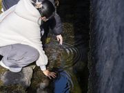 14GuestHouseMtFuji�̎ʐ^2