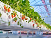 �A�X�g���x���[�̎ʐ^3