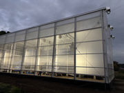 qRt_ Ó쓡򂢂nEX̎ʐ^2