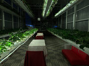 ���q�R��t�_�� �Ó쓡�򂢂����n�E�X�̎ʐ^3