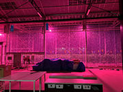 qRt_ Ó쓡򂢂nEX̎ʐ^4