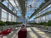 ���q�R��t�_�� �Ó쓡�򂢂����n�E�X�̎ʐ^4