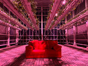 ���q�R��t�_�� �Ó쓡�򂢂����n�E�X�̎ʐ^2