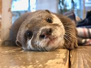 JE\JtF HARRYheXX̎ʐ^2