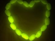 �O�����Â���̌��Z���^�[�E�����R�����̎ʐ^3