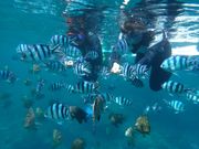 Vm[POVbv|{j[u[yBonnie Bluez̎ʐ^2