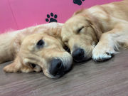 ^ӂꂠJtFMiliMili̎ʐ^2