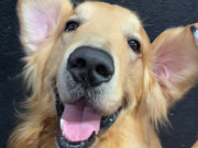 ^ӂꂠJtFMiliMili̎ʐ^3