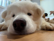 ^ӂꂠJtFMiliMili̎ʐ^4