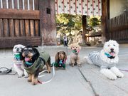 ������Вn���n���̎ʐ^4