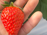 �����̘[�̂��������̎ʐ^2