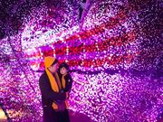 �N���X�}�X�t�@���^�W�[�̎ʐ^3