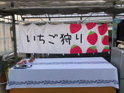 �t�� �}�`���A�̎ʐ^4