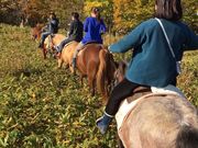 �k���{��n�T�[�r�X�o���_�i�̎ʐ^3