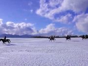 �k���{��n�T�[�r�X�o���_�i�̎ʐ^4