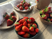 �X��䕉��̎ʐ^2