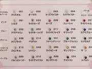 Salon Patio�̎ʐ^4