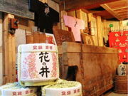 ���{���u�Ԃ̈�v���� �����{�X�̎ʐ^3