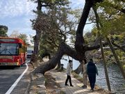 �A�[�o�������g���x���̎ʐ^2