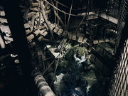 �ɉꗬ�E�ґ̌��{�� ����W�C�̎ʐ^2