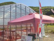 ��I�썑���̎ʐ^2