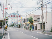 ��ʎВc�@�l�����s�ό��r���[���[�̎ʐ^3