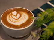 cafe&stay not A�̎ʐ^3