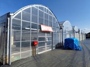 �X�g���x���[�p�[�N���΂̎ʐ^3