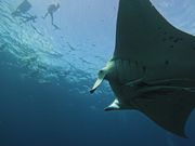 ���N�[�A�}�����N���u�̎ʐ^2