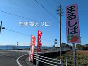 �܂邵�Δ_���̎ʐ^4