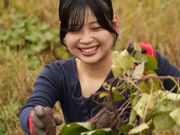 ROOT2 ORGANIC FARM�̎ʐ^2