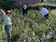 ROOT2 ORGANIC FARM�̎ʐ^4