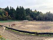 ��n�N���u �R�[�g�h�m�[���̎ʐ^2