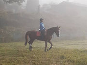 ��n�N���u �R�[�g�h�m�[���̎ʐ^4