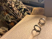 Owl Labo�y���z�̎ʐ^4