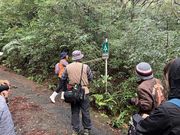 �����c�������@�l ���V�����̉�̎ʐ^4